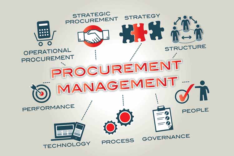 How to Avoid Pitfalls in Project Procurement